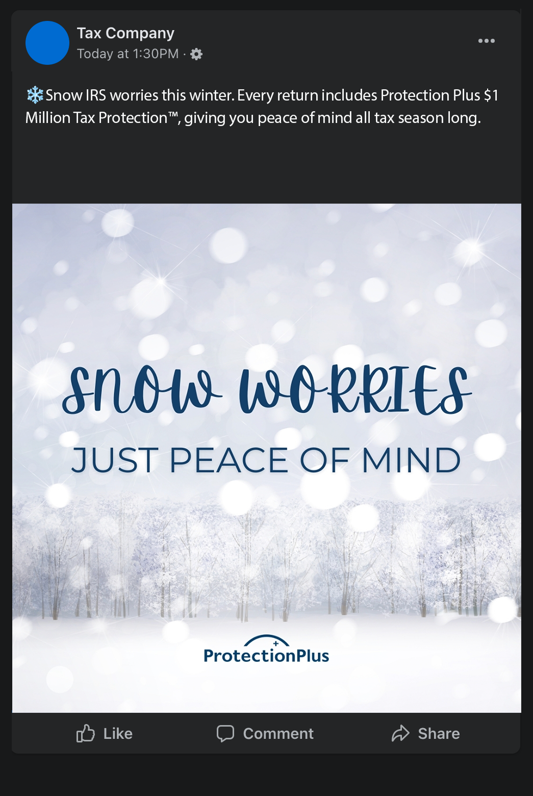 Snow Worries, Just Peace of Mind